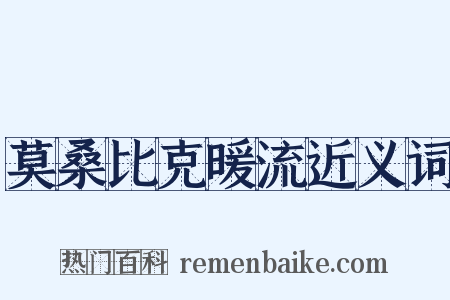 莫桑比克暖流近义词是什么意思的图片